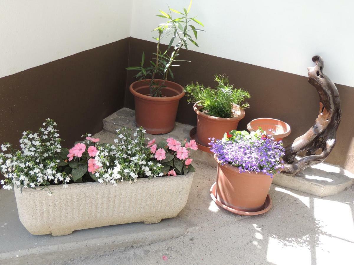 Apartment Carli-Jurc Kobarid Dış mekan fotoğraf